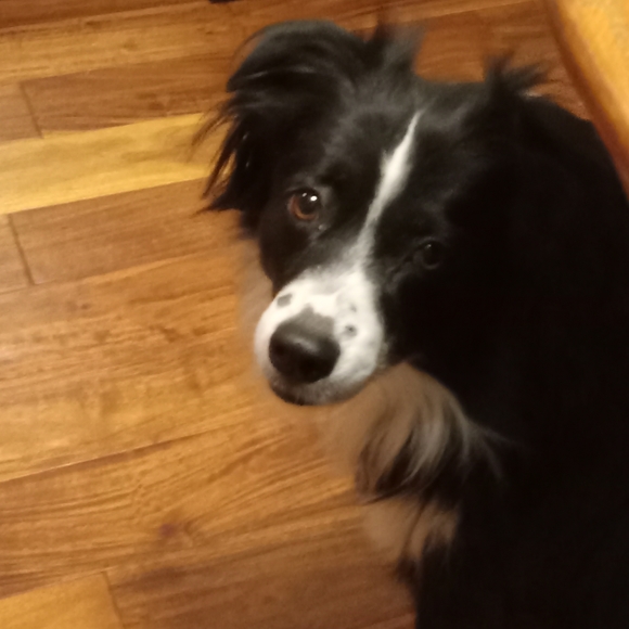 Meet your Posher, Annette - Picture 5 of 11